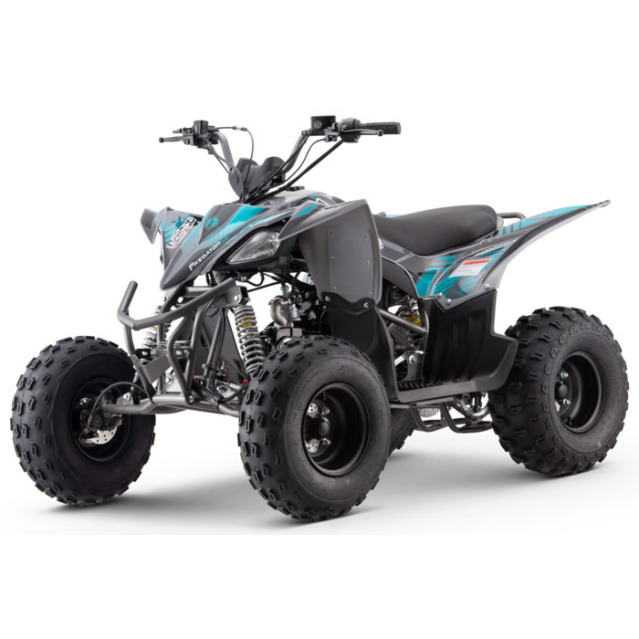 Mikilon Kinder & Jugenquad Predator 125cc