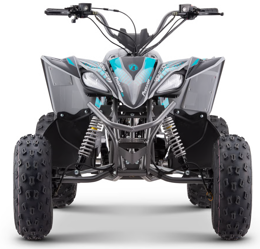 Mikilon Kinder & Jugenquad Predator 125cc