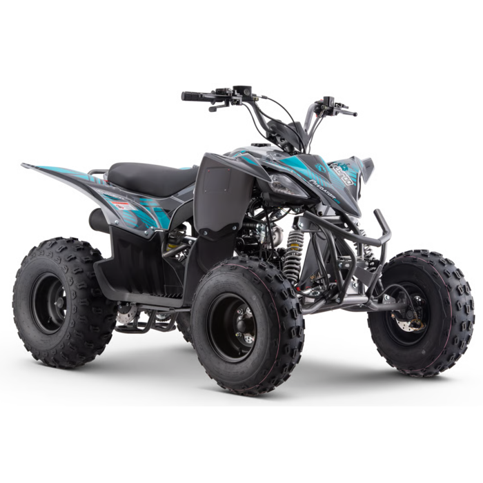 Mikilon Kinder & Jugenquad Predator 125cc