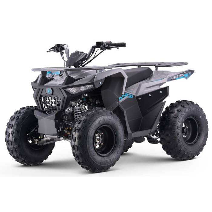Mikilon Kinder & Jugenquad Hammer 125cc