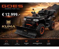 Goes TERROX 1000 T3b ABS - PRO EDITION