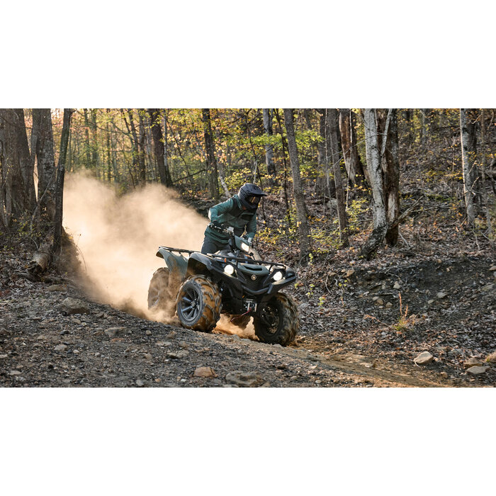 Yamaha Grizzly 700 EPS SE1 ATV 4x4 mit Seilwinde und Alufelgen
