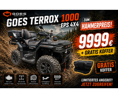Goes TERROX 1000 T3b ABS
