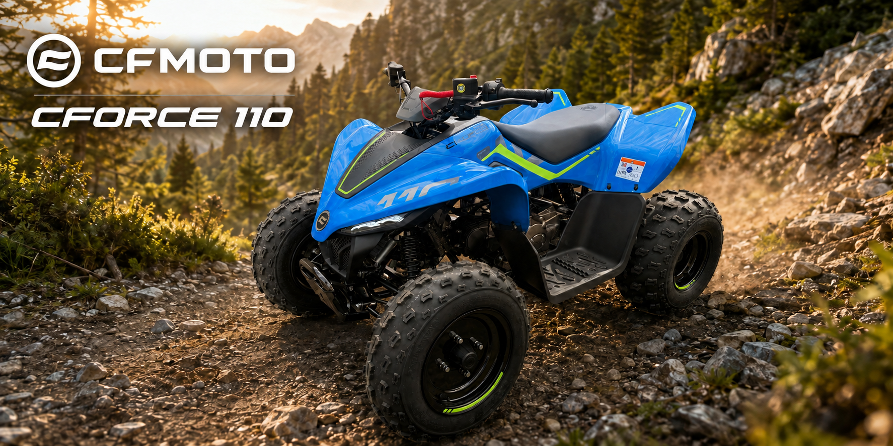 Cforce 110