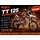 TT125 Dirtbike mit 14" 17" Räder - Schalter