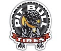 Pit Bull