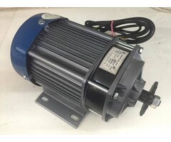 Minibike/Miniquad Elektro Motor 48 Volt 1000 Watt