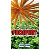 Makro Basic PHOSPHAT, 1000 ml