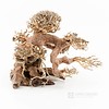 Aqua Bonsai Grösse S (ohne Nummer)