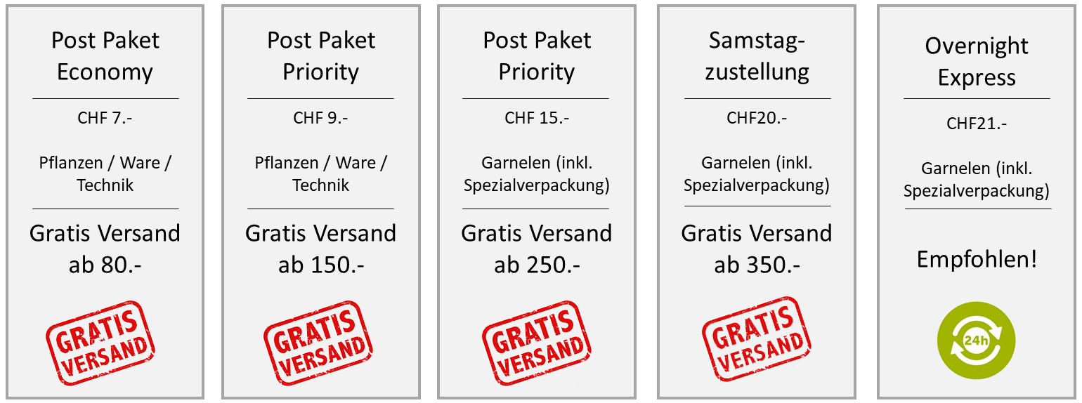 Versandkosten Garnelenmarkt