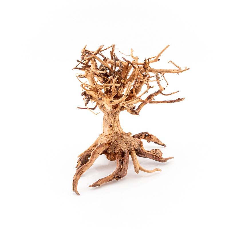 Mammut Bonsai handgefertigte Unikate für Ihr Garnelenaquarium