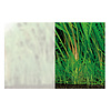 Rückwandfolie Clear 60-P