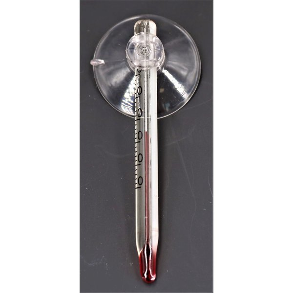 Aqua Noa Mini Thermometer Glas 6cm