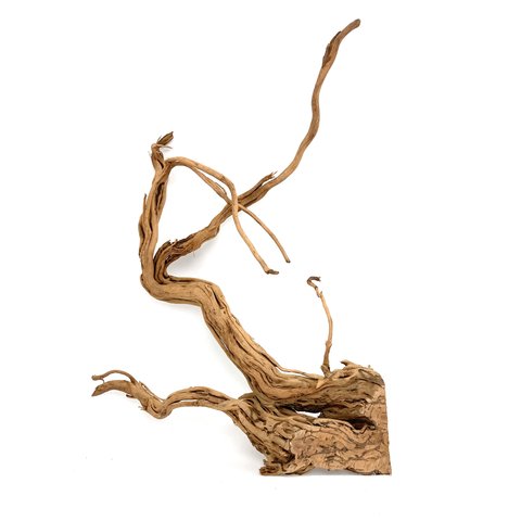 Curl Wood #2 (53x39x10 cm)