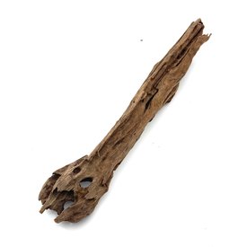 Garnelenmarkt Yati Holz / Driftwood, Nano Wurzel,  Grösse M (25-33cm) #01