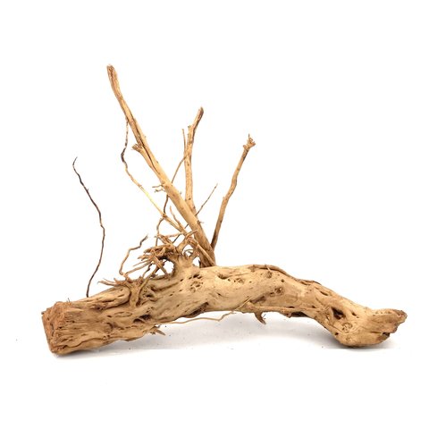 Curl Wood #14 (33x28x22 cm)
