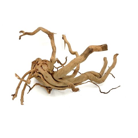 Curl Wood #104 (63x41x34 cm)