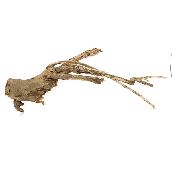  Talawa Holz #21