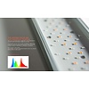 LED Light EA-Line IV/V (20-70 cm - 4 Modelle)