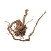 Curl Wood #12