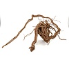Curl Wood #12