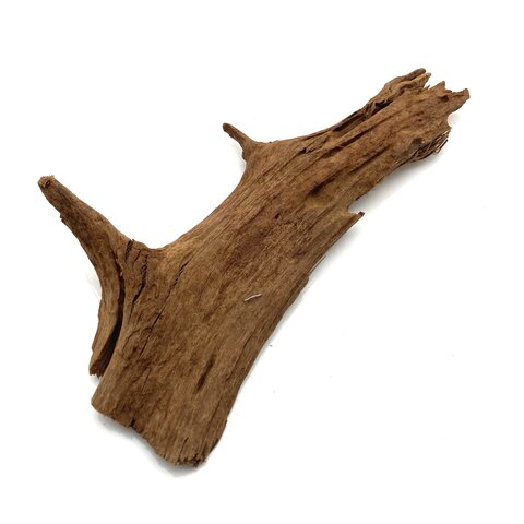 Yati Holz / Driftwood, Nano Wurzel,  Grösse M (25-33cm) #02