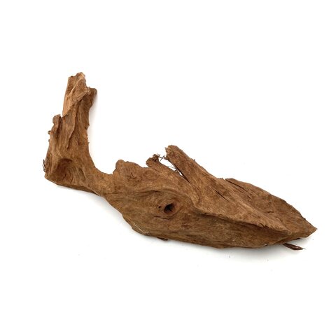 Yati Holz / Driftwood, Nano Wurzel,  Grösse M (25-33cm) #15