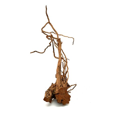 Curl Wood #15 (57x44x11 cm)
