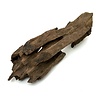 Drachenholz #01