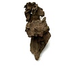 Drachenholz #01