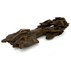 Drachenholz #01