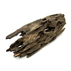 Drachenholz #03