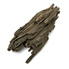 Drachenholz #03