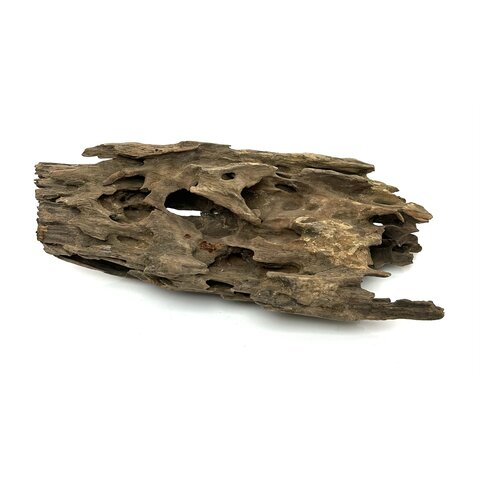 Drachenholz #03