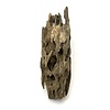 Drachenholz #03