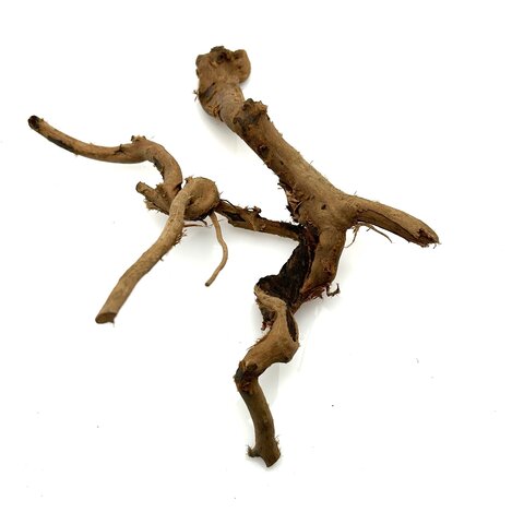 Rote Moorwurzel klein xs #4 (ca. 10x15x20 cm)