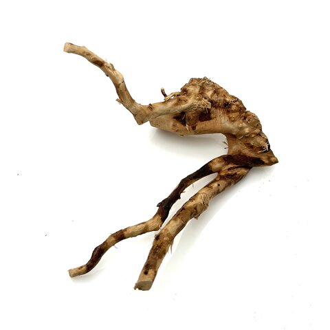 Rote Moorwurzel klein xs #14 (ca. 10x15x20 cm)