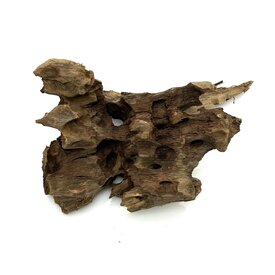 Garnelenmarkt Drachenholz #04