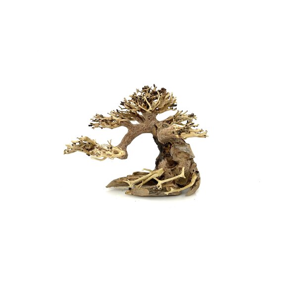 Garnelenmarkt Aqua Bonsai #S1