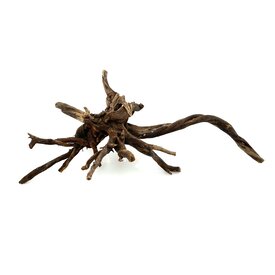 Garnelenmarkt Black Slim Wood #06 (42x33x21 cm)