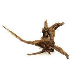 Garnelenmarkt Black Slim Wood #05 (36x31x15 cm)