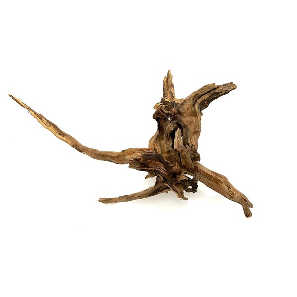 Garnelenmarkt Black Slim Wood #05