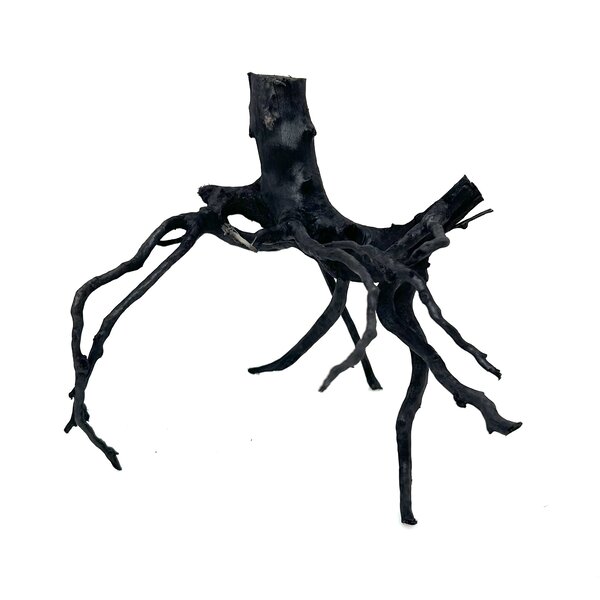 Garnelenmarkt Schwarze Moorwurzel klein xs