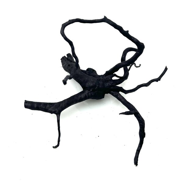 Garnelenmarkt Schwarze Moorwurzel klein xs #11