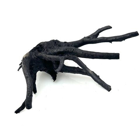 Schwarze Moorwurzel klein xs #8