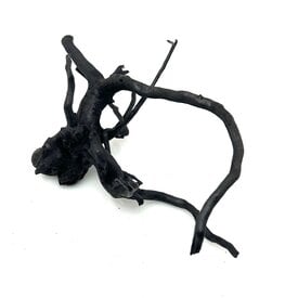 Garnelenmarkt Schwarze Moorwurzel klein xs #7