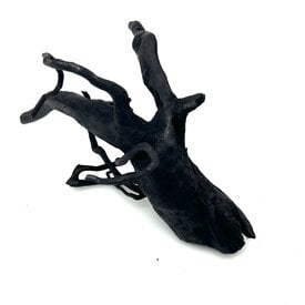 Garnelenmarkt Schwarze Moorwurzel klein xs #6