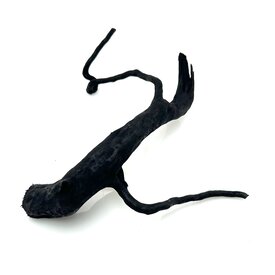 Garnelenmarkt Schwarze Moorwurzel klein xs #1