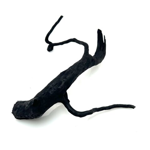 Schwarze Moorwurzel klein xs #1
