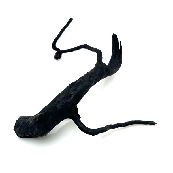 Garnelenmarkt Schwarze Moorwurzel klein xs #1